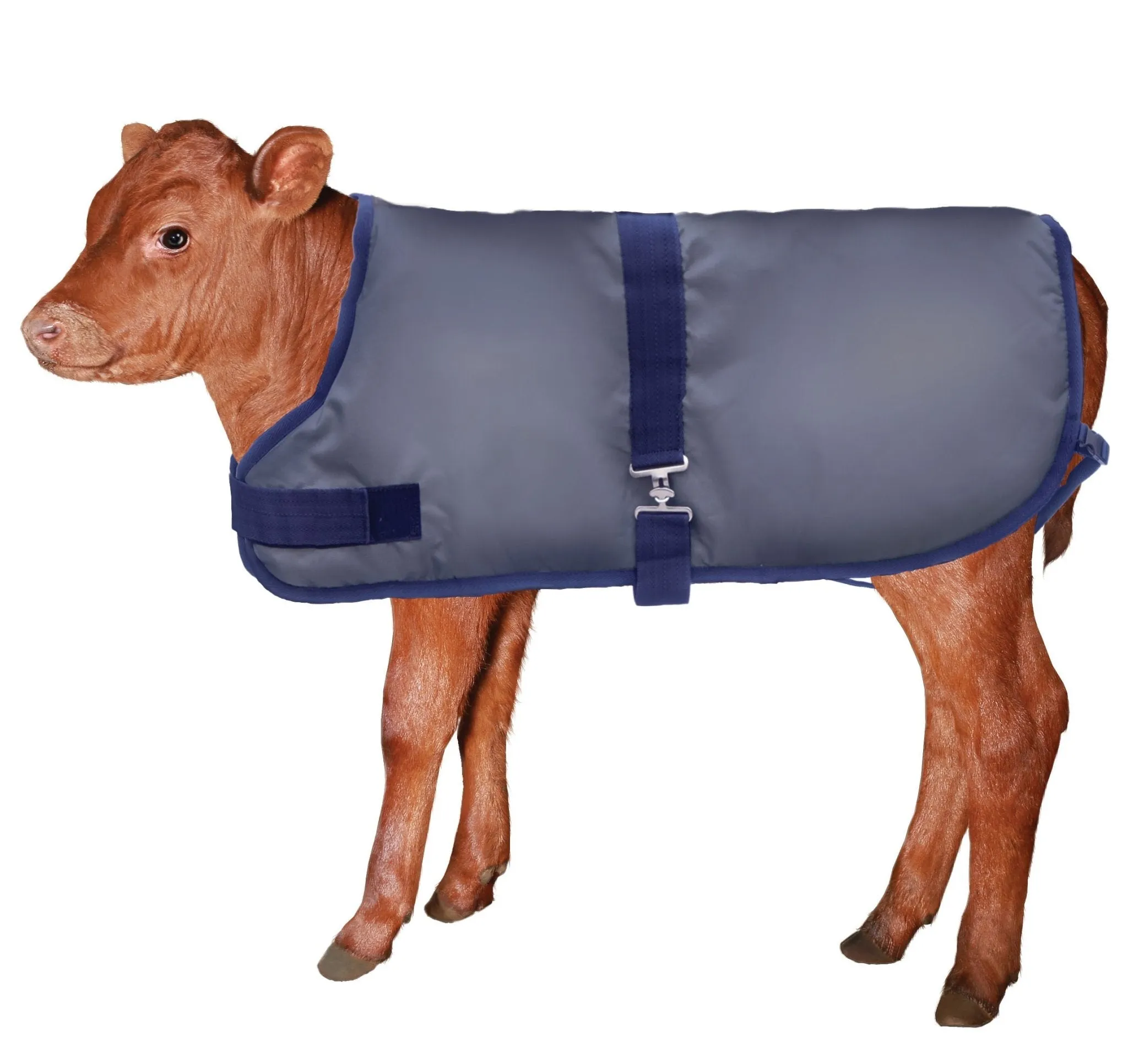 Kozee Kalf Insulated Calf Blanket
