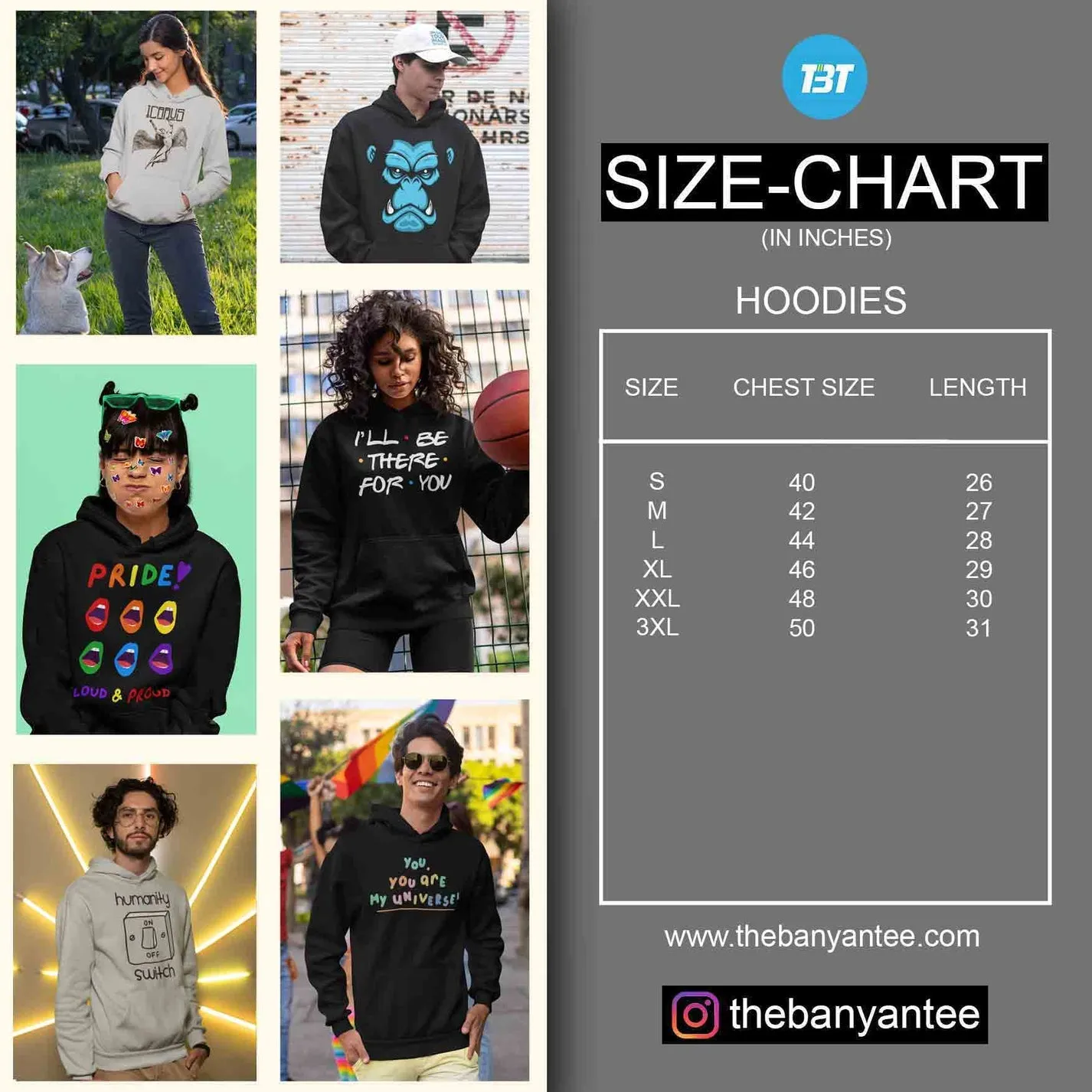 The Big Bang Theory Hoodie - Soft Kitty